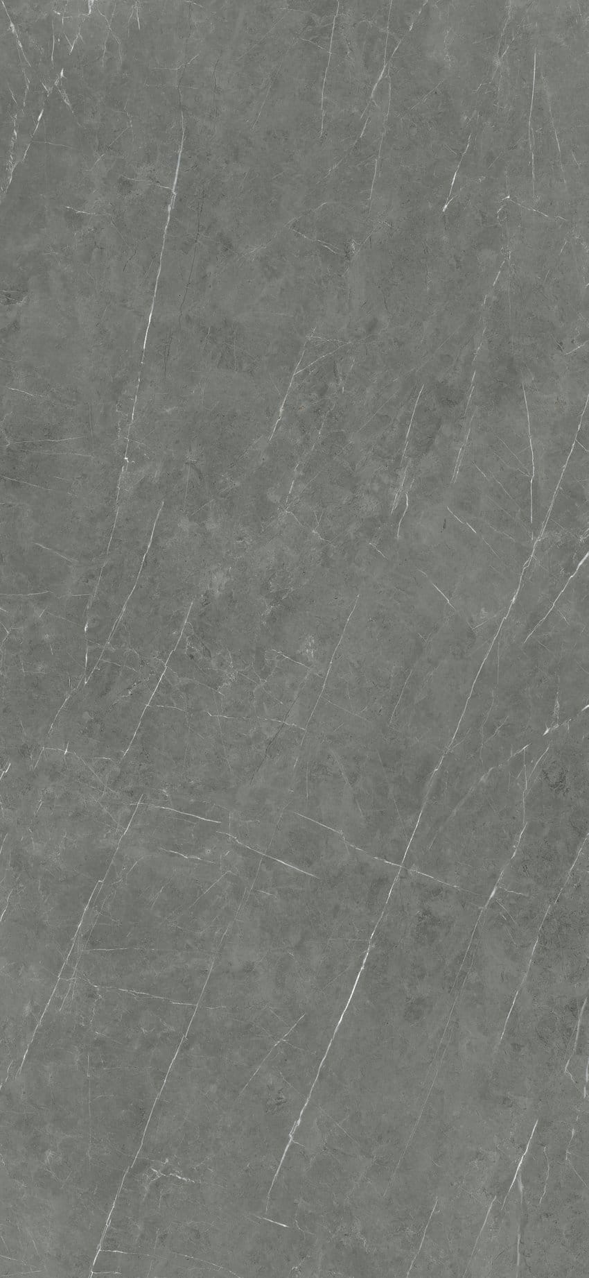 80x80 TESSIDRESA GREY POLI RECTIFIE /m²
