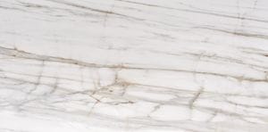 80x160 VENATILE GOLD POLI RECTIFIE / m²