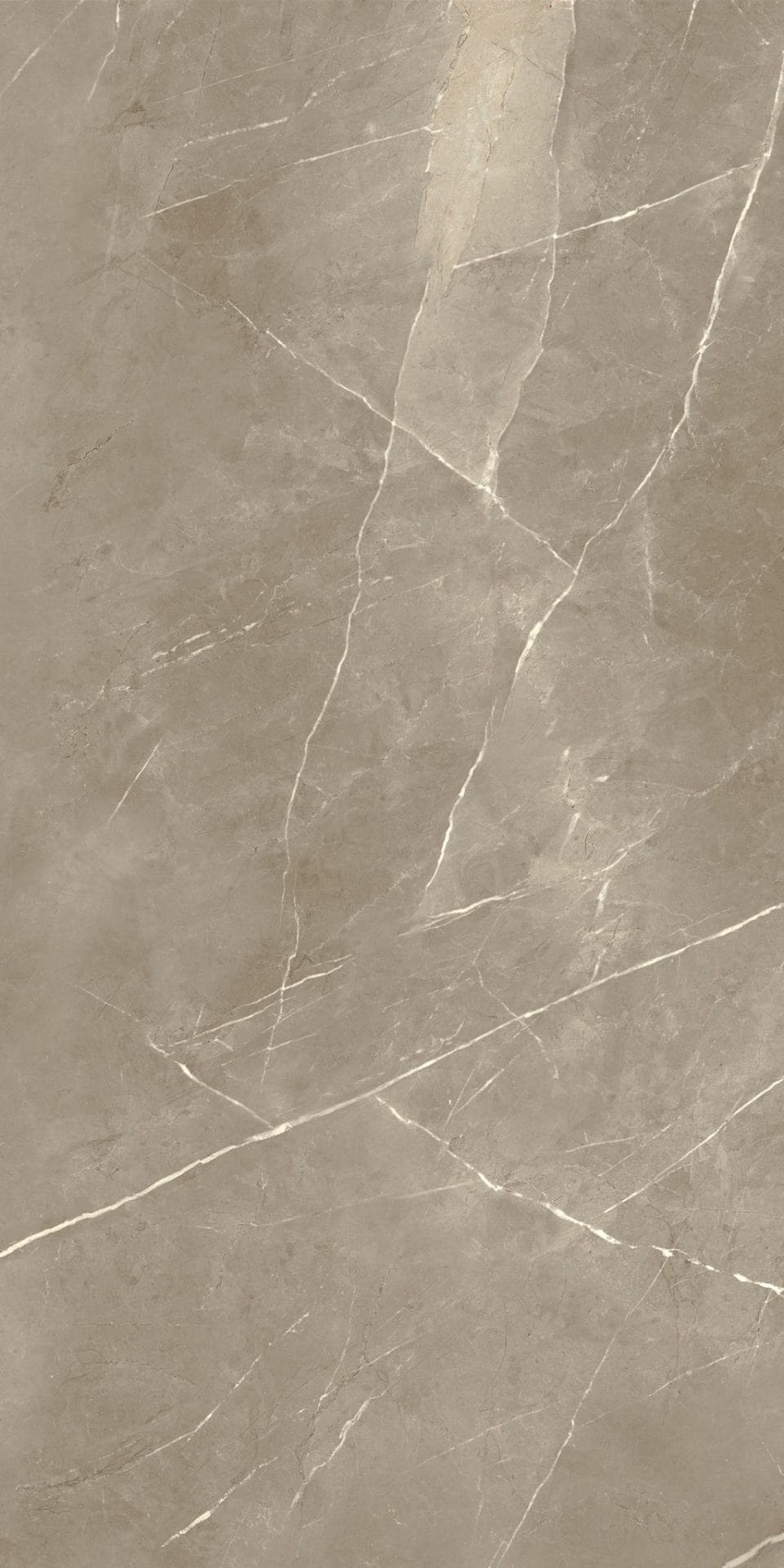 60x60 PIETRAGREYKER TAUPE RECTIFIE /m²