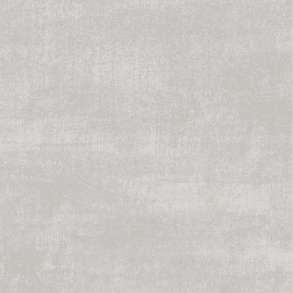 60x120 MOODIA ARGENT RECTIFIE /m²