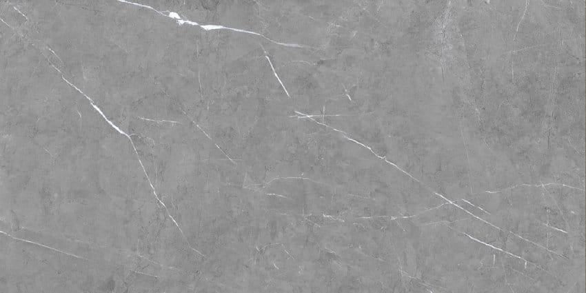 60x120 TESSIDRESA GRIS RECTIFIE / m²