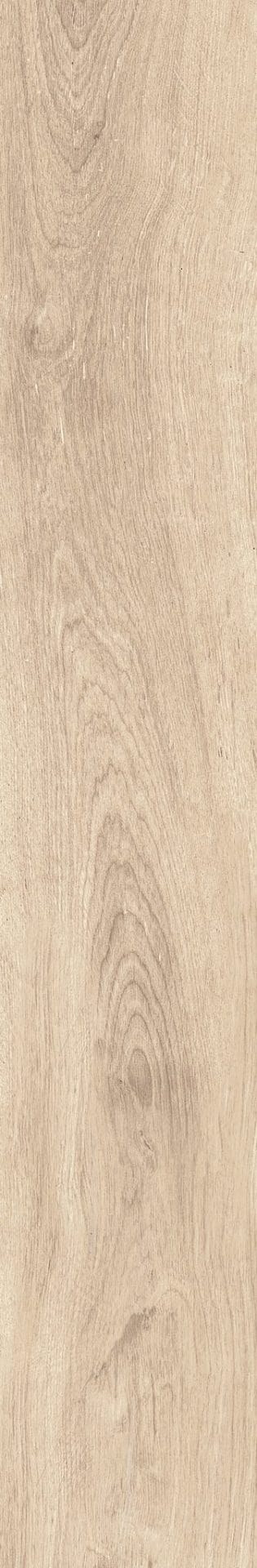 60x120 PADUKER BEIGE RECTIFIE /m²