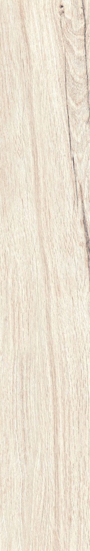 20x120 PADOKER BLANC RECTIFIE /m²