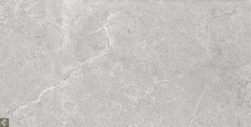 33.3x100 KINGSTODRESA ASH RECTIFIE /m²