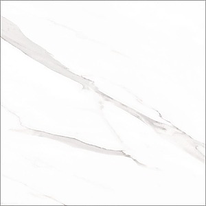 120×120 STATUARYTILES RECTIFIE /m²