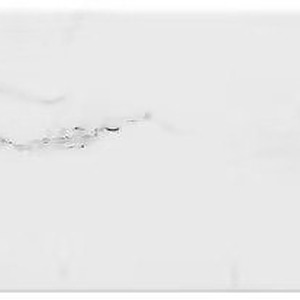 20×60 CARRARE BLANC BRILLANT /m²
