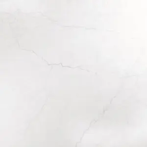 60×120 HALOGRES POLI BLANC RECTIFIE /M²