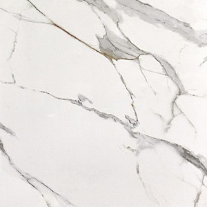 60×60 ATE BLANC POLI RECTIFIE /m²