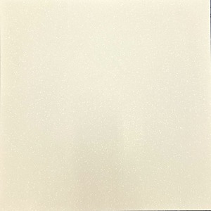 45×45 SPECIAL GARAGE CHOIX MS (EVO 500)