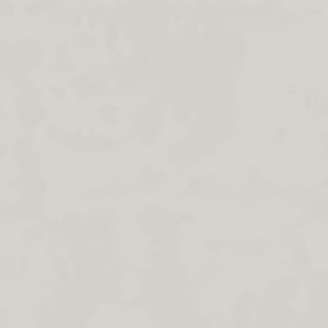 33,3×100 TRIBETILE PERLA RECTIFIE /m²