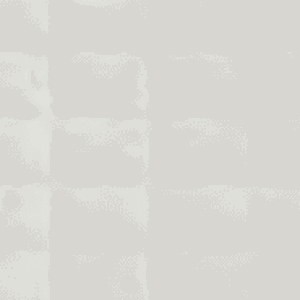 33×100 TRIBETILE BLANC DECOR RECTANGLES RECTIFIE /m²