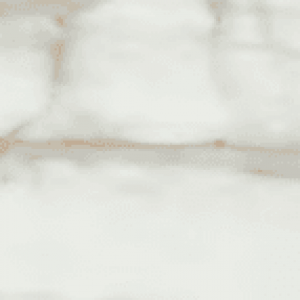 33,3×100 VENATILE OR BRILLANT RECTIFIE /m²