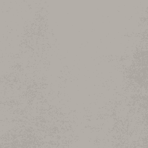 60×60 MOODIA GRIS RECTIFIE /m²