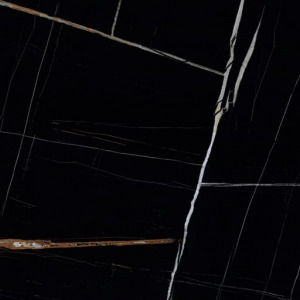 60×120 LION NOIR POLI RECTIFIE /m²