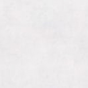 60×60 METROPOGRES BLANC LAPPATO RECTIFIE / m²