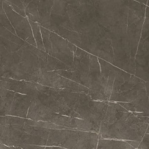 60×120 TESSIDRESA BRONZE RECTIFIE / m²