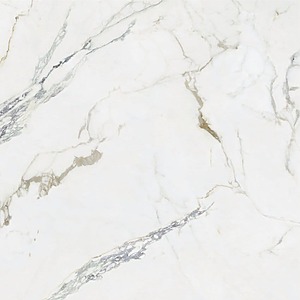 80×80 RAVENDRESA POLI RECTIFIE /m²