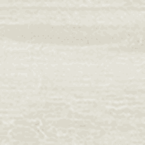 20×120 TONGANER BLANC RECTIFIE /m²