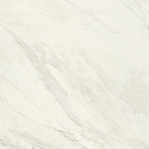 80×80 TRIVOR BLANC RECTIFIE /m²