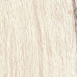 30×160 PADOKER BLANC RECTIFIE /m²