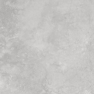 80×80 20MM PARKER ARGENT RECTIFIE /m²