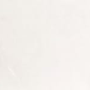 80×80 SUTILE BLANC POLI RECTIFIE / m²