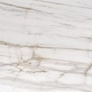 80×80 VENATO GOLD POLI RECTIFIE / m²